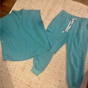 FIGS cactus scrub set